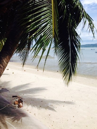 Restaurant Koh Tan Cuisine High View