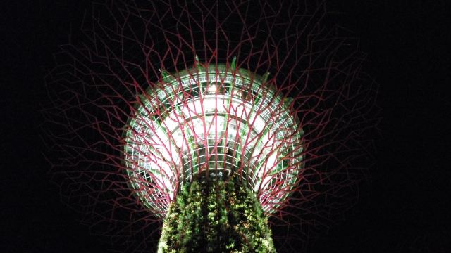 新加坡濱海灣花園