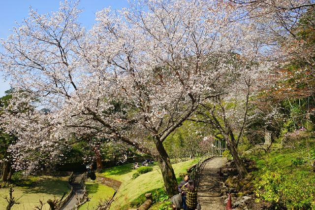 센간엔