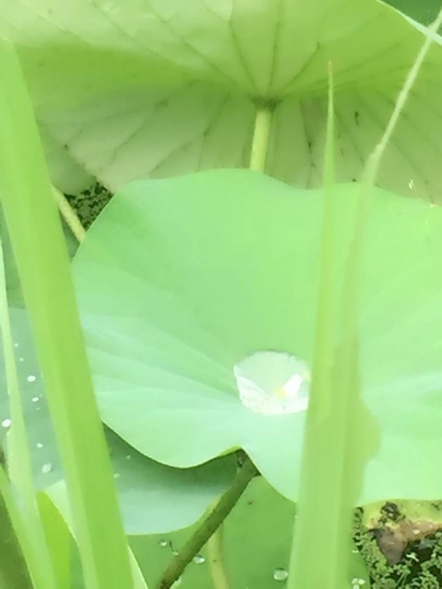 이용산 관광지