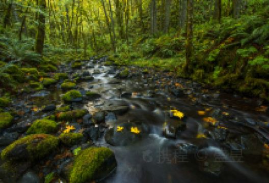 波特兰旅游图片-波特兰经典三日游