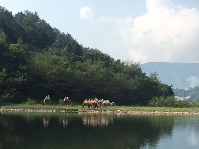 난시강 풍경명승구