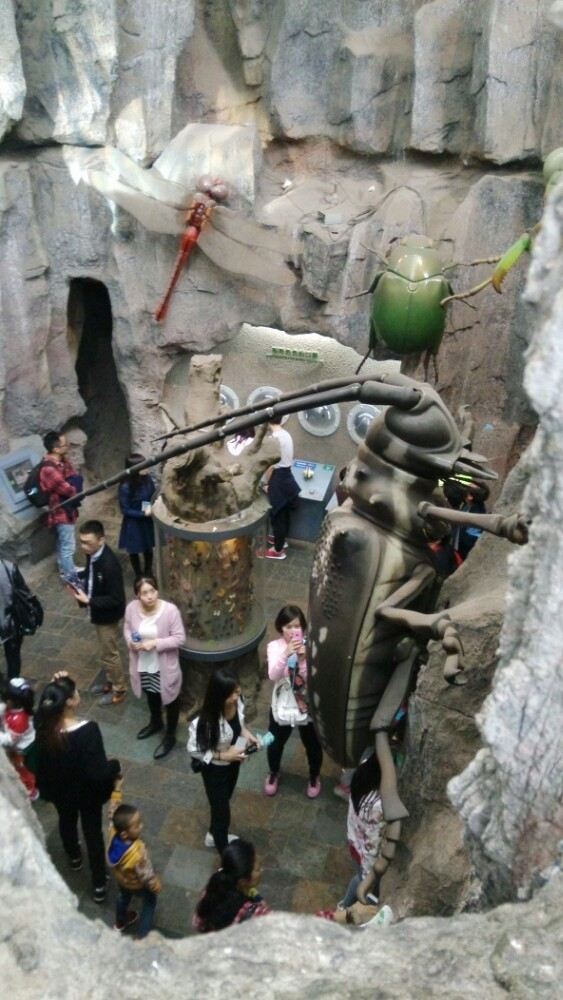 Shanghai Science and Technology Museum