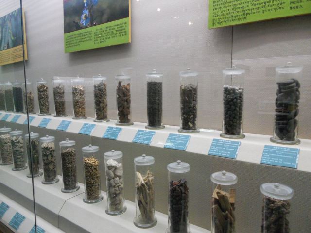Qinghai Tibetan Culture Museum