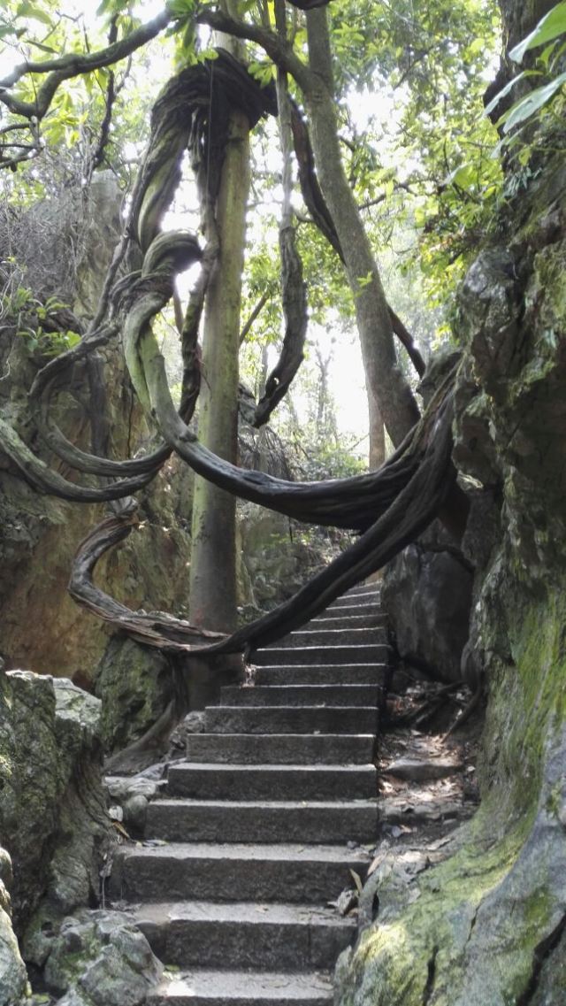 Hangzhou Lingyin Temple and Feilai Peak Scenic Spot