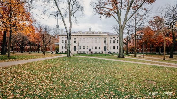 4‑Day Eastern US Highlights Tour · NYC, Philly, DC, Niagara Falls and Boston | Budget Friendly