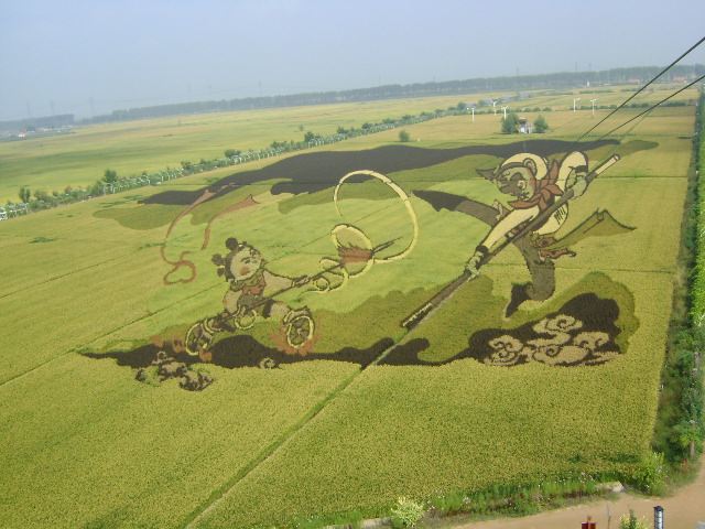 稻夢空間