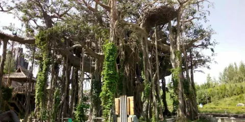 吉木薩爾地質公園