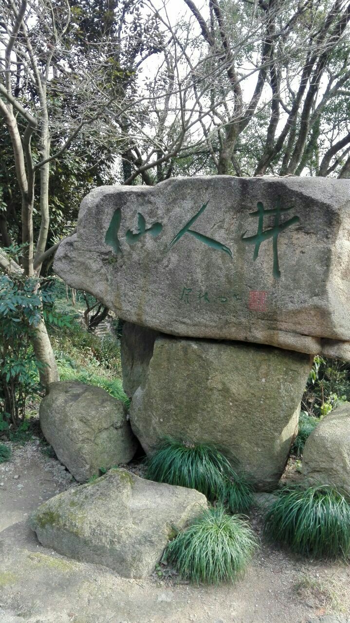 仙人井
