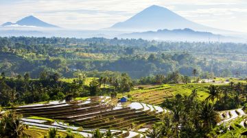 Jatiluwih Rice Terraces