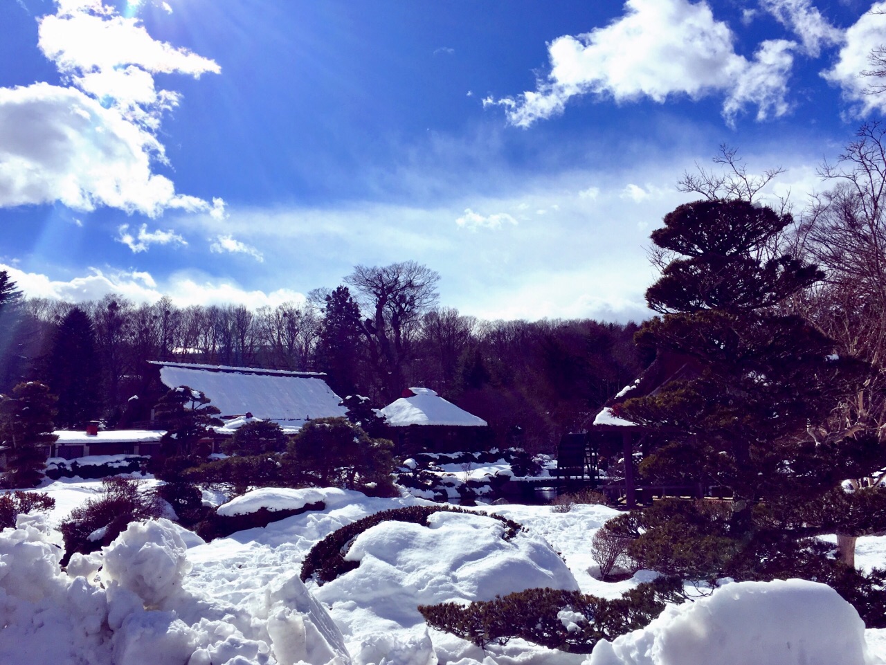 忍野八海