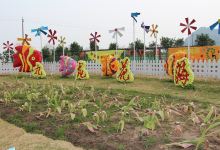 九龙花海(路桥区)景点图片