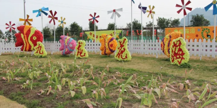 九龍花海（路橋區）