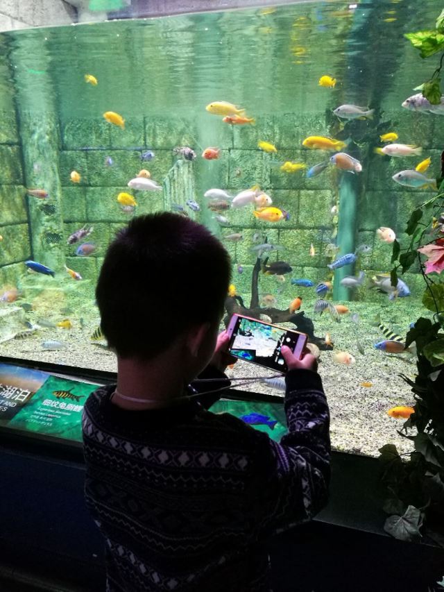 Grandview Aquarium