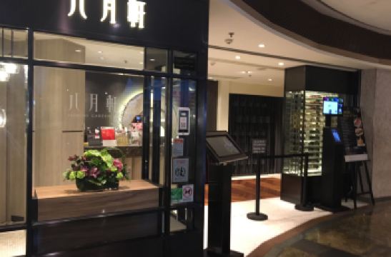 すべての美しい花の画像 Hd限定八月花