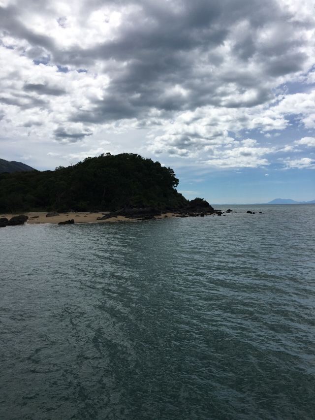 Palm Cove