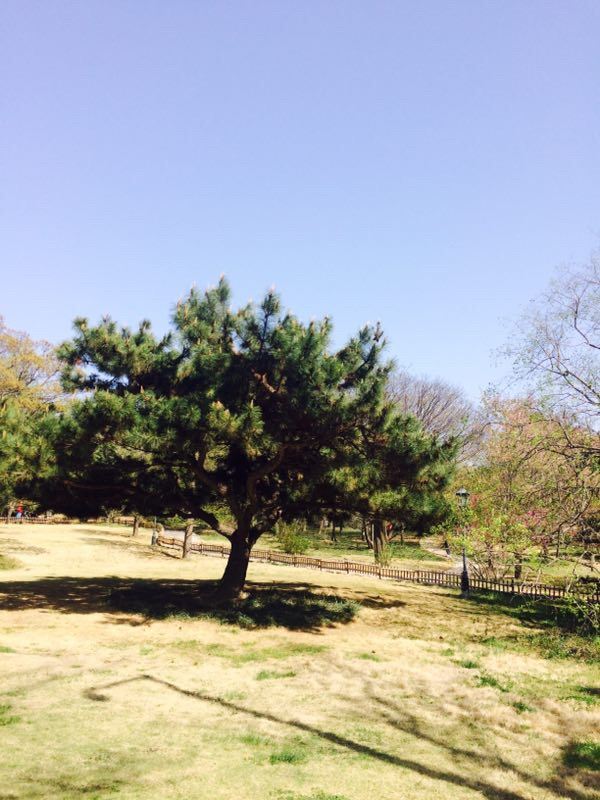 中山公園