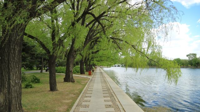 Zhaoling Tomb (Beiling Park)