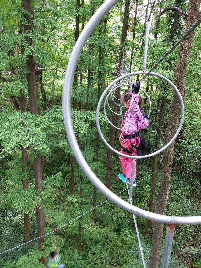 Daqishan Crazy Forest Theme Park