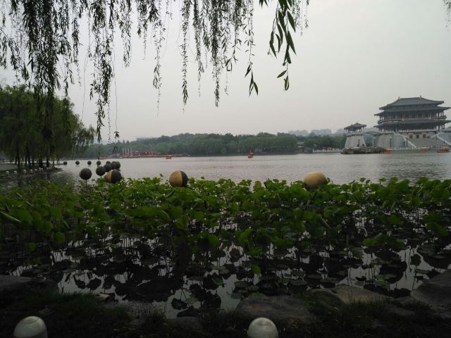 다탕푸룽위안(대당부용원)