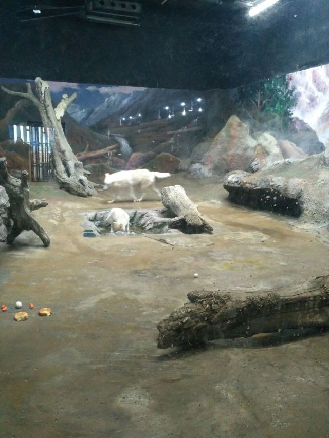 Qujiang Polar Ocean Park