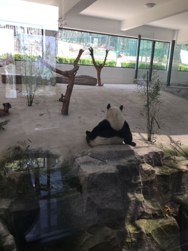 리우궁다오(유공도)
