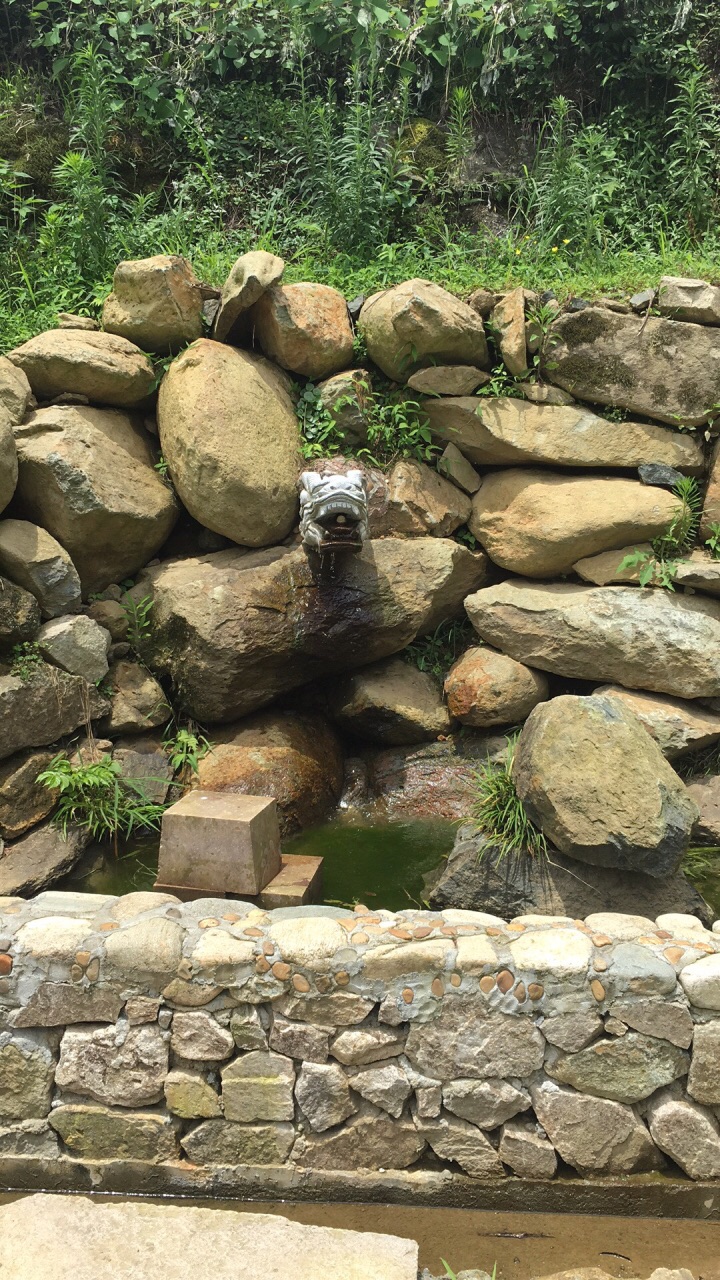 台回山旅游