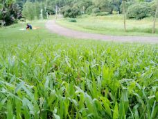 东莞-YoYo_8F7A4K1J