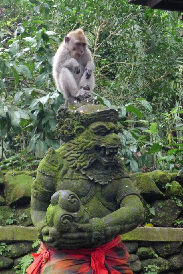 Ubud Monkey Forest