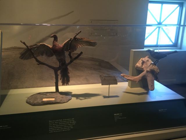 The Field Museum