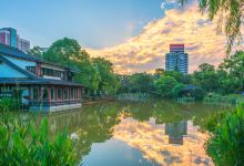 晓园公园景点图片