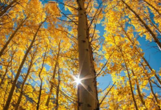 豪客来美食图片