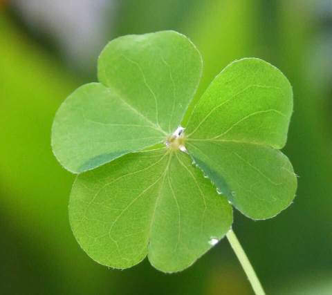 德克士(十陵镇店)