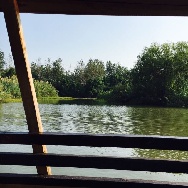 Shajiabang Scenic Area