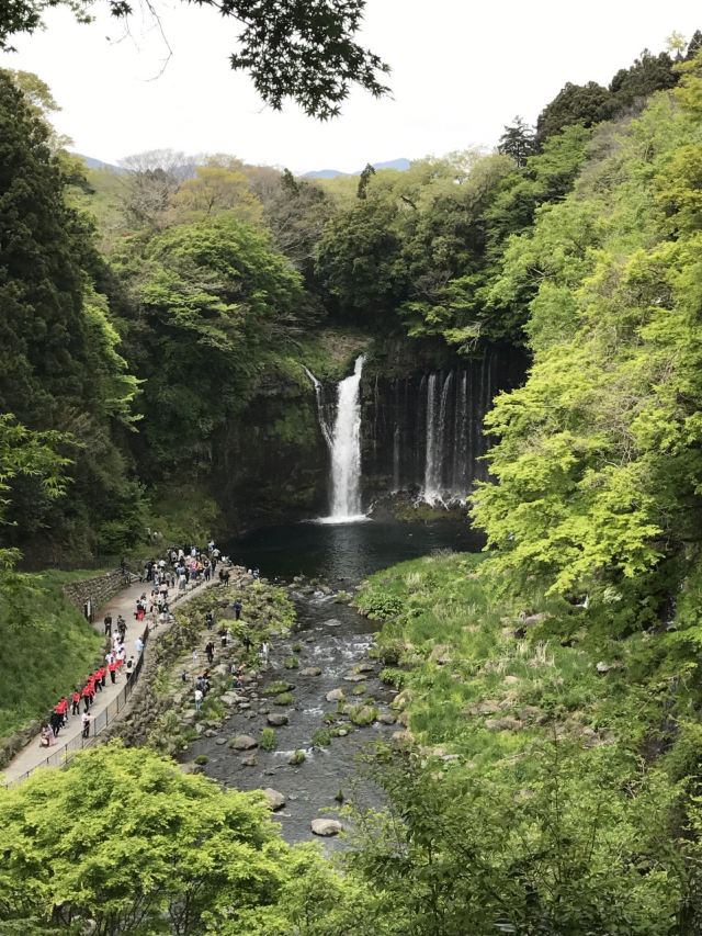 富士山静冈县白丝瀑布图片