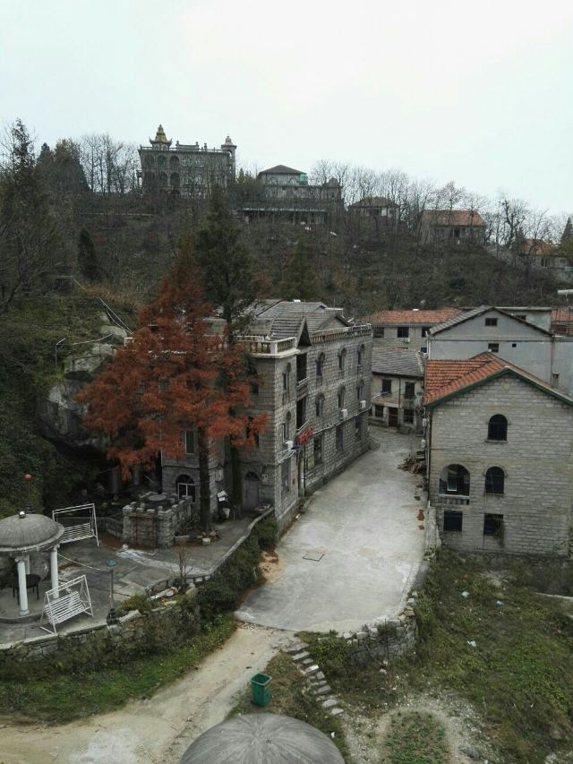 수탉 산