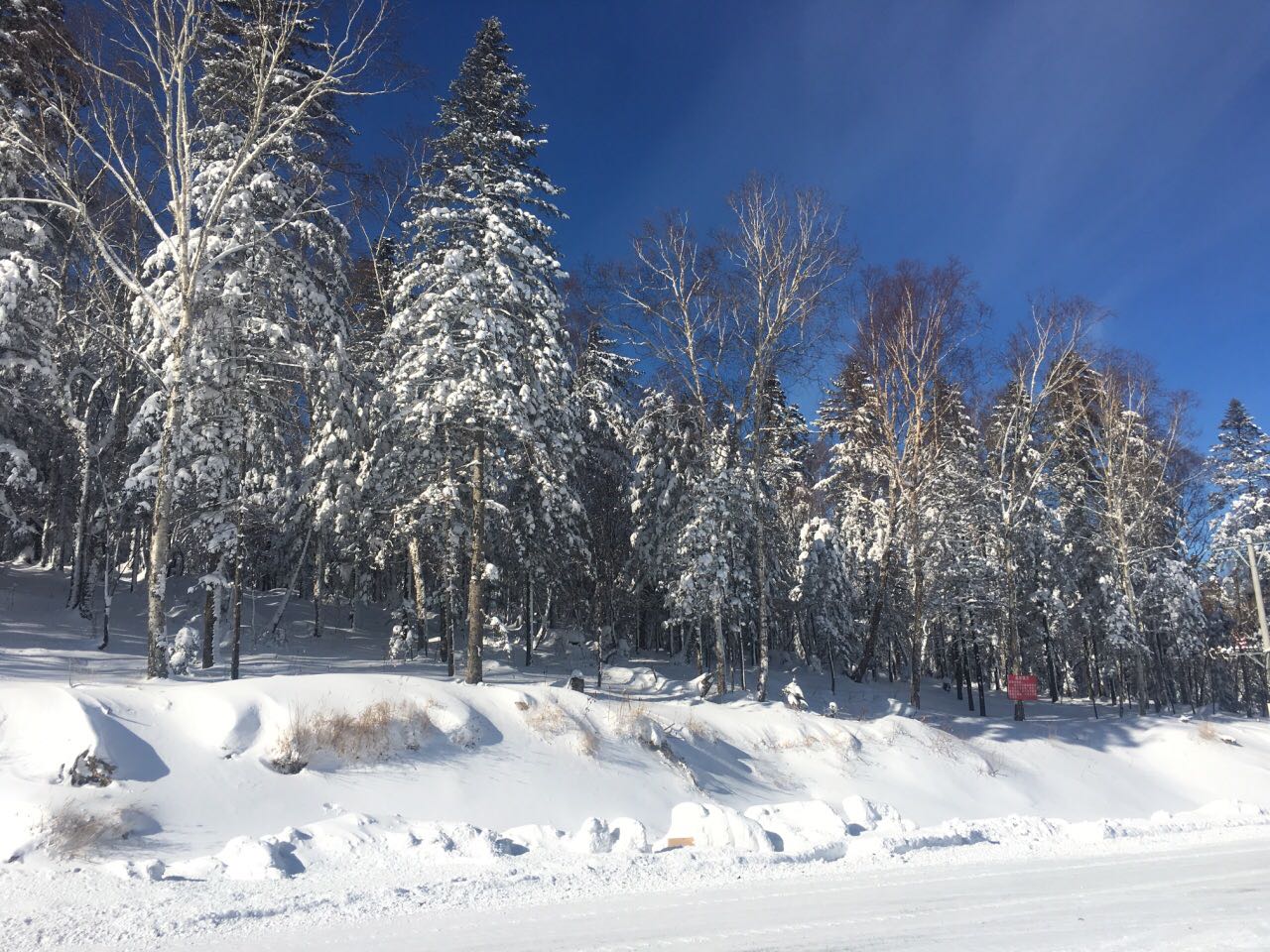 亚雪驿站