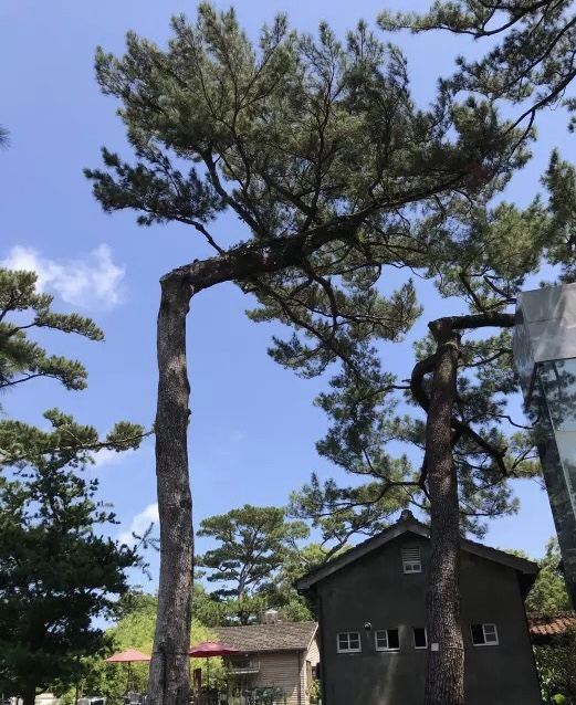 松園別館