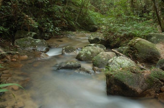 黑石顶自然保护区