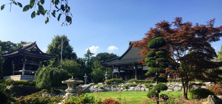 Eko Haus Der Japanischen Kultur E V Travel Guidebook Must Visit