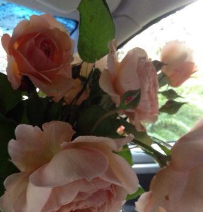 Il Merollo餐厅图片