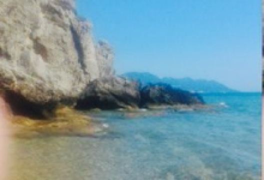 Elia Restaurant美食图片