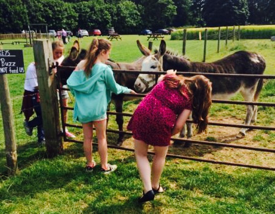 Marton Manor Farm Shop and Tea Rooms