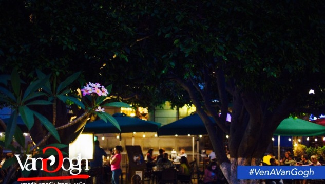 Van Gogh Restaurant Bar & Cafe