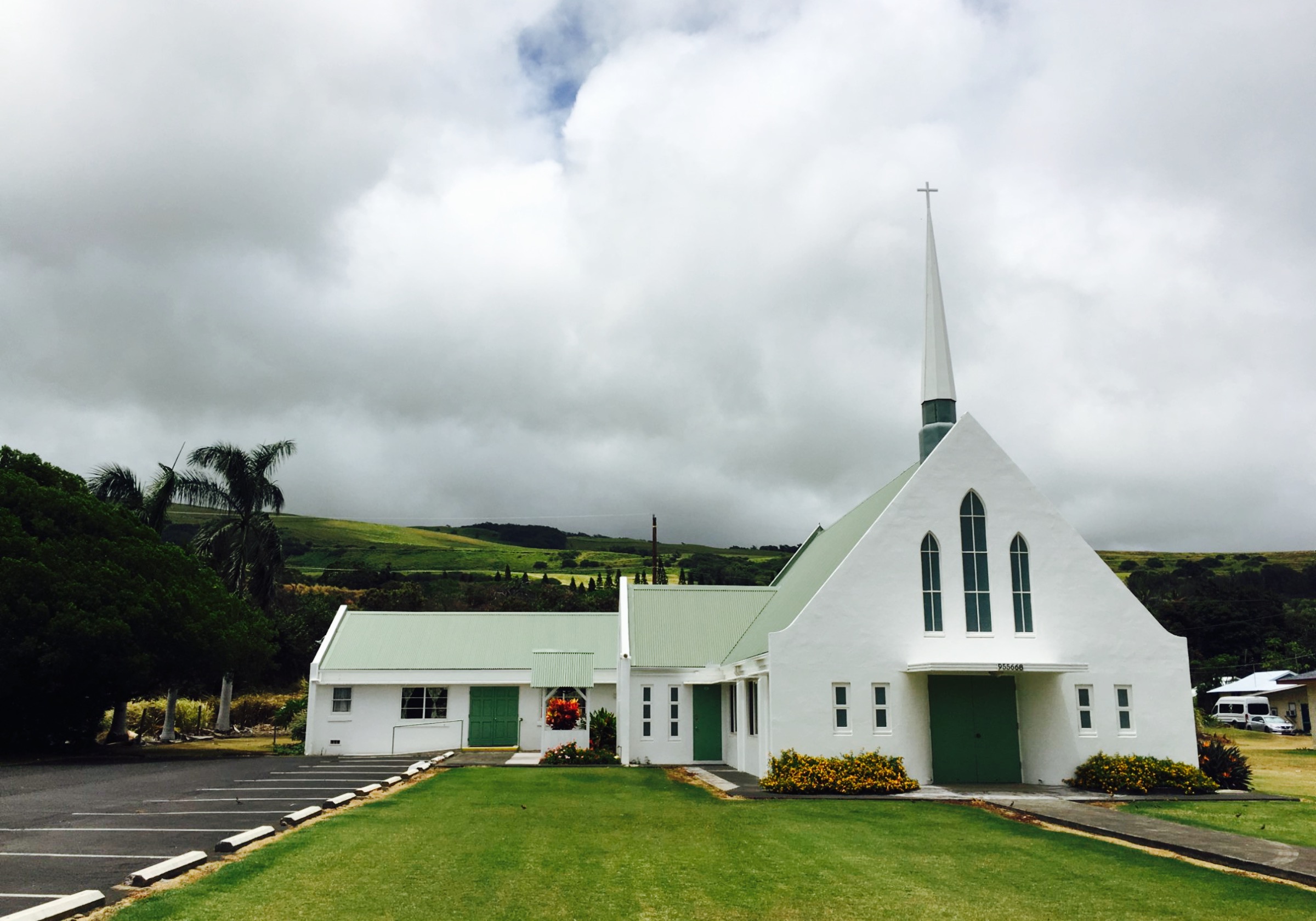 Flyin' Hawaiian Coffee