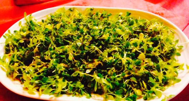 El Rincon del Labrador