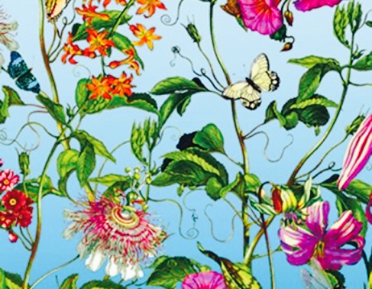 Fratelli餐厅图片