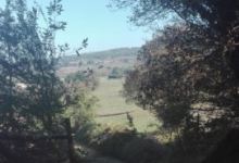 Agriturismo Falcare美食图片
