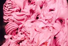 Gelateria Molin Nuovo美食图片
