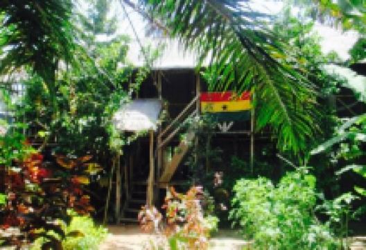 Summeryard Vegetarian Cafe美食图片